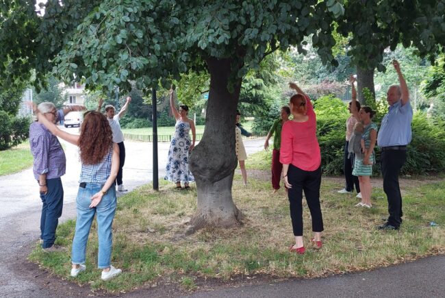 ihmisiä voimistelee puun ympärillä puistossa