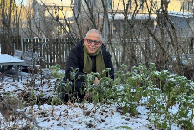 Silmälasipäinen lyhyttukkainen mies kyykyssä hennon lumen peittämässä puutarhassa.