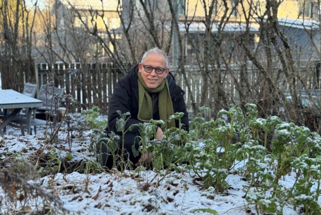 Silmälasipäinen lyhyttukkainen mies kyykyssä hennon lumen peittämässä puutarhassa.